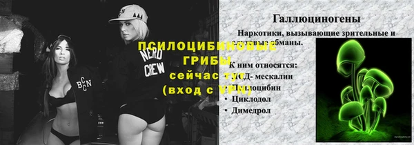 экстази Алексин