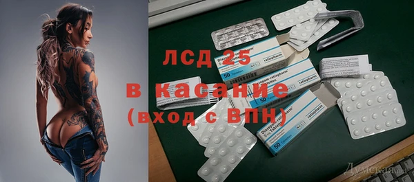 крисы Алзамай