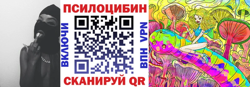 Галлюциногенные грибы MAGIC MUSHROOMS  где можно купить   Кызыл 